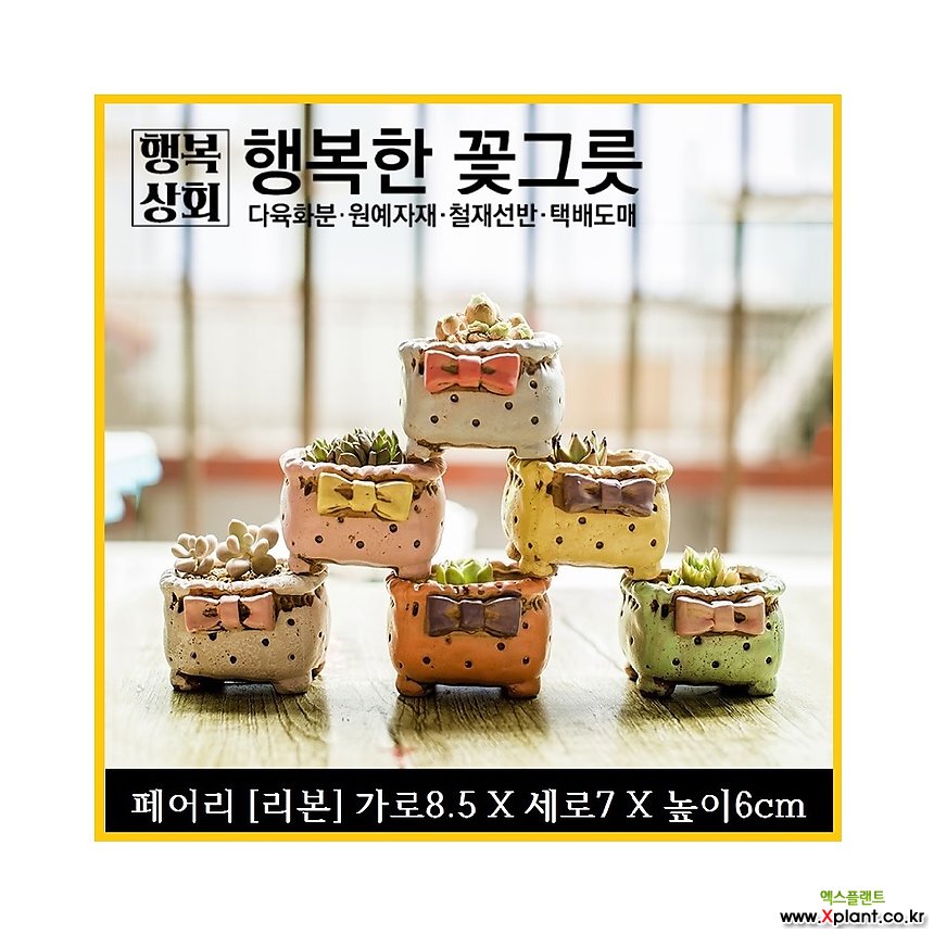 페어리[리본] 다육화분 