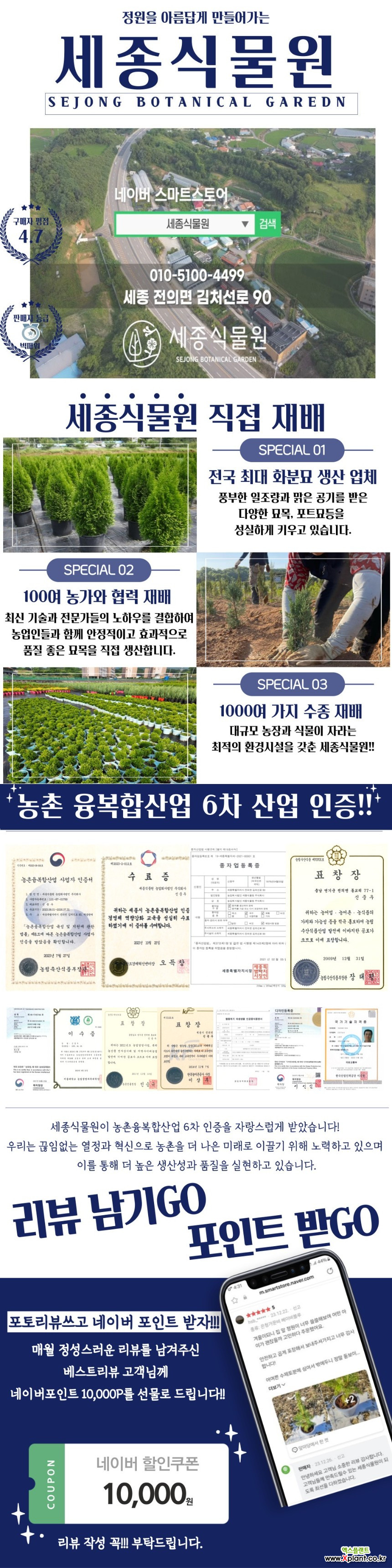 정원 인테리어 포인트 묘목 국수나무 엔젤골드 묘목